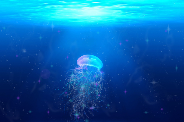 A Jellyfish in Water